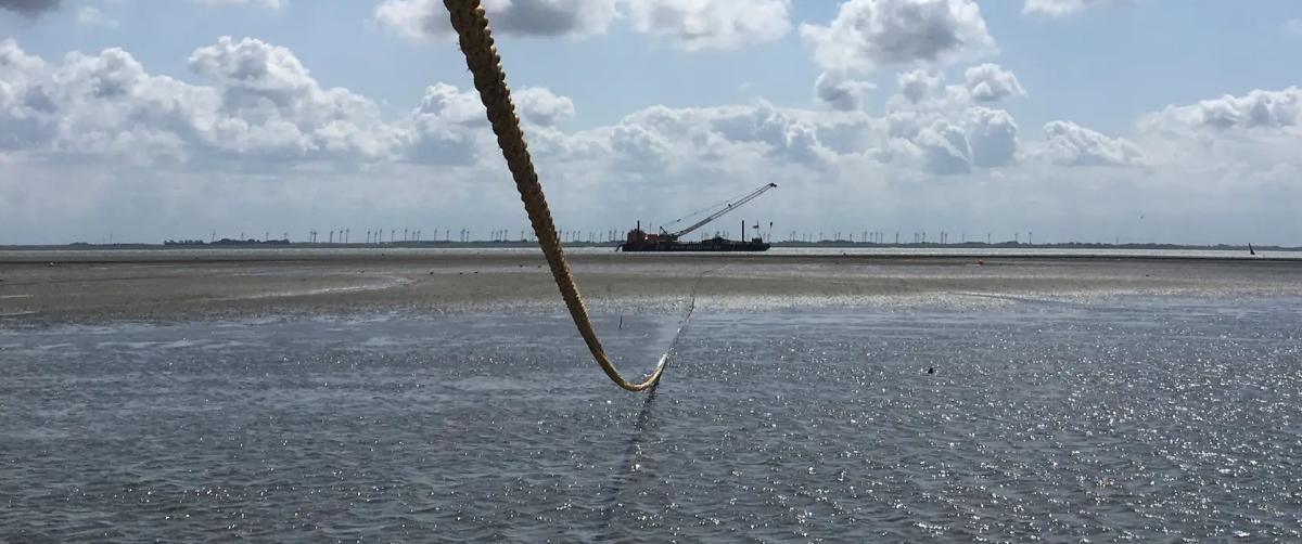 Alemania aprueba el sistema de conexión a la red para un parque eólico marino de casi 1 GW en el Mar del Norte