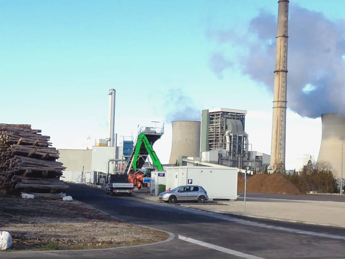 Alemania planea endurecer las restricciones sobre el uso de la biomasa en un proyecto de estrategia nacional