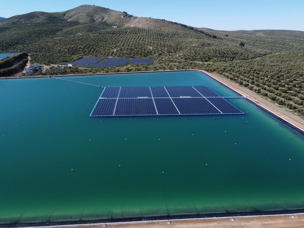 Aceite Virgen Extra producido con energía solar flotante en Jaén