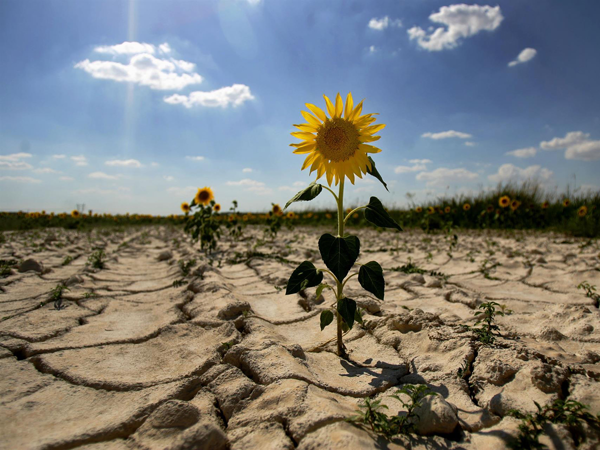 El Banco Mundial señala que la crisis climática afecta a 404 millones de estudiantes desde 2022