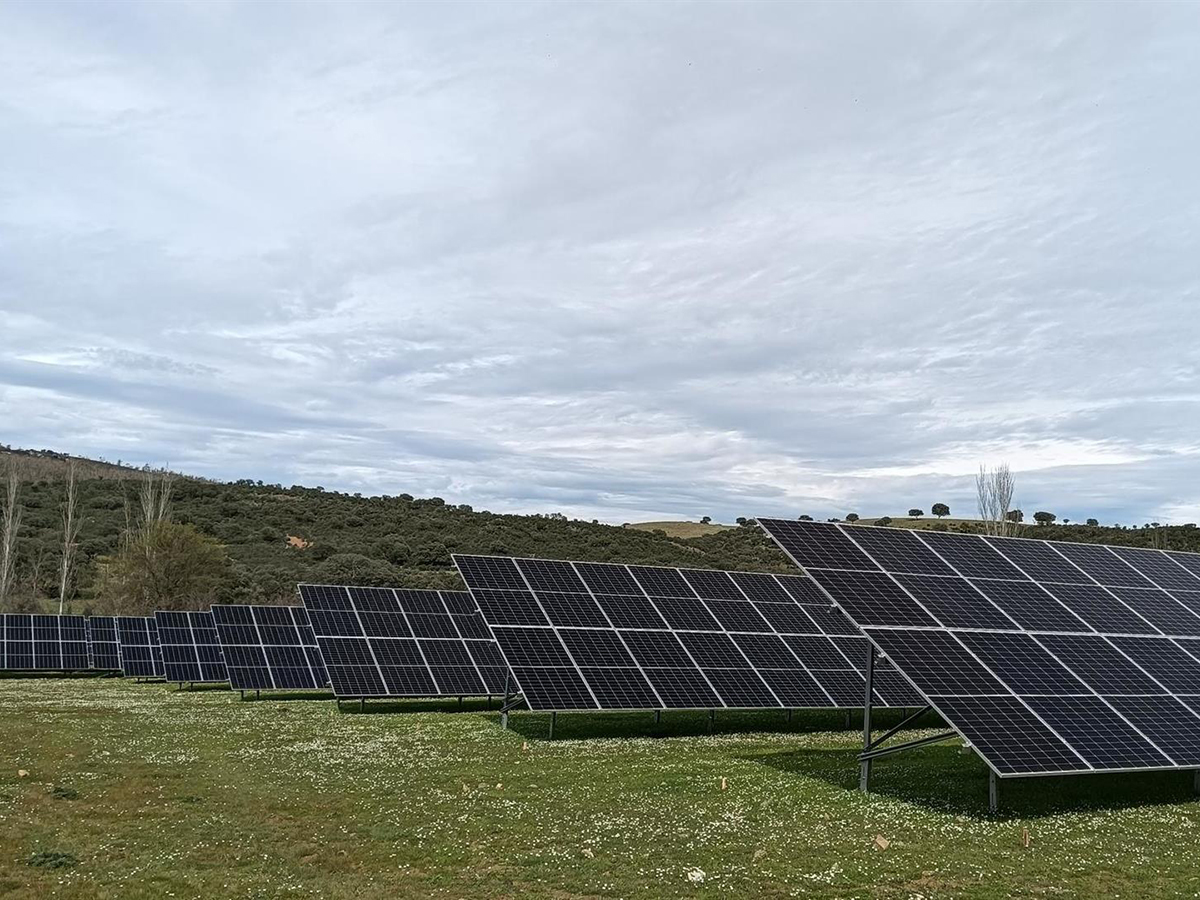 Nestlé encarga a Powen la gestión de su tercer parque solar fotovoltaico ubicado en Badajoz