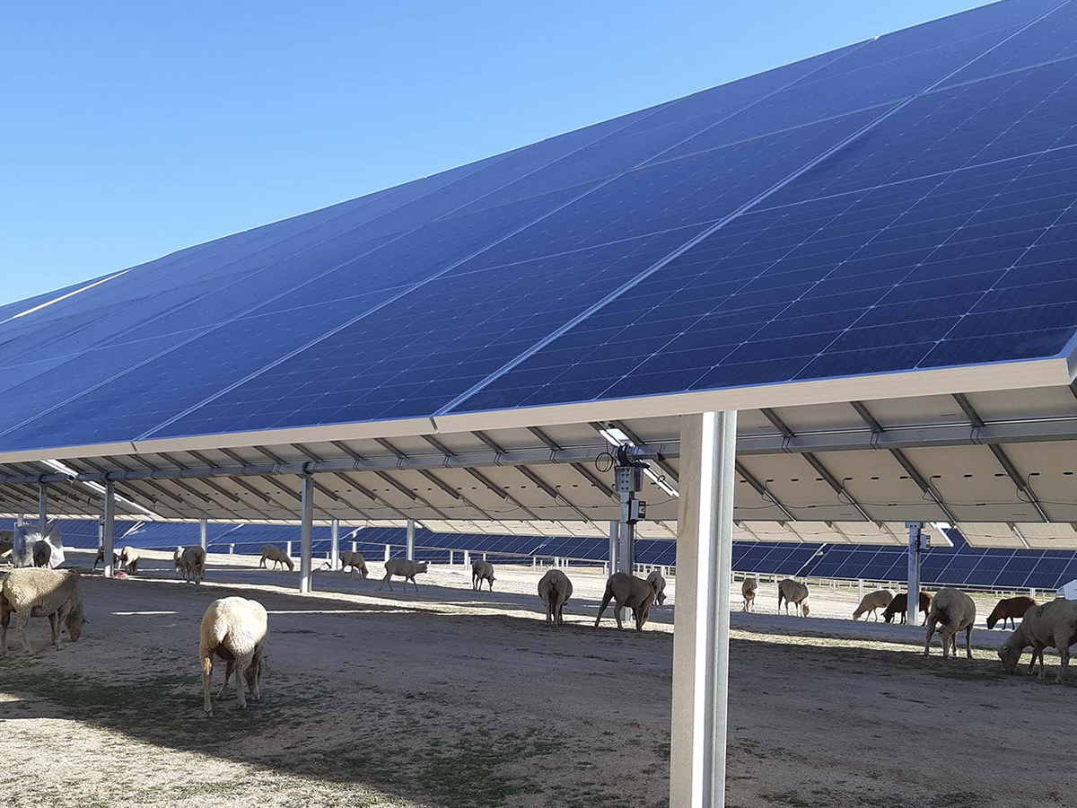 Alterna Energía impulsa un nuevo proyecto fotovoltaico de 1,17 MW en Huelva