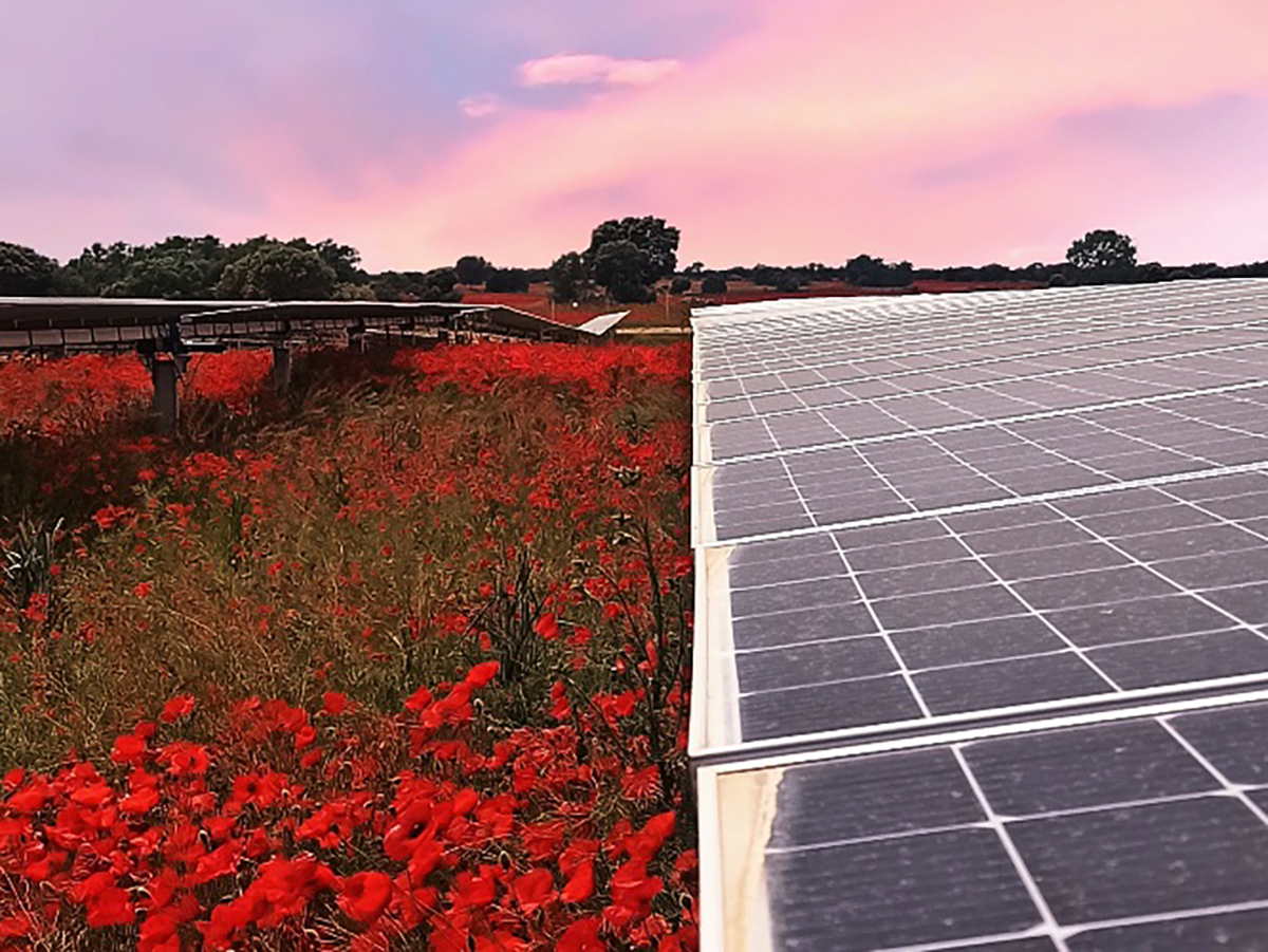 La fotovoltaica dice que "no es un problema" para el mundo rural, sino una "oportunidad"