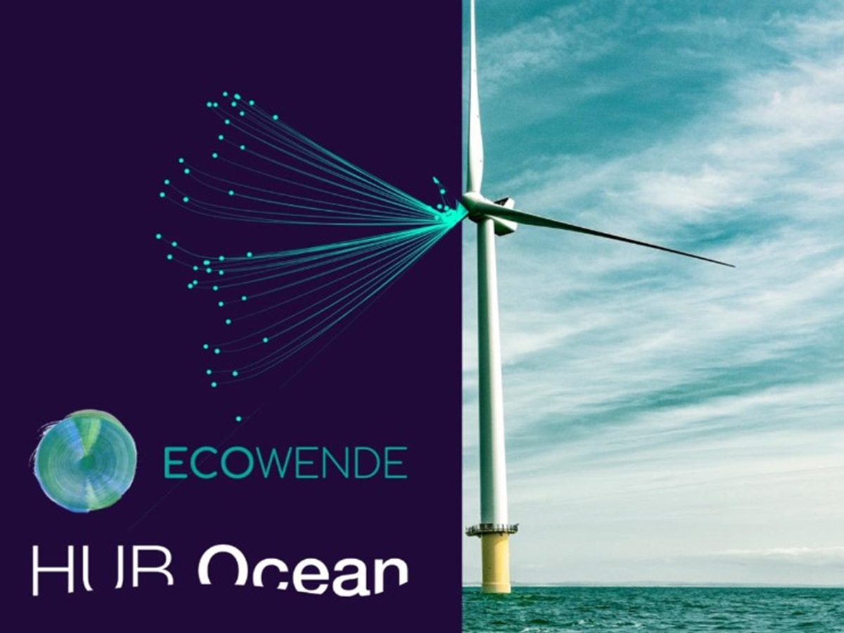 HUB Ocean y Ecowende abren el acceso a los datos 'ecológicos' de parques eólicos marinos