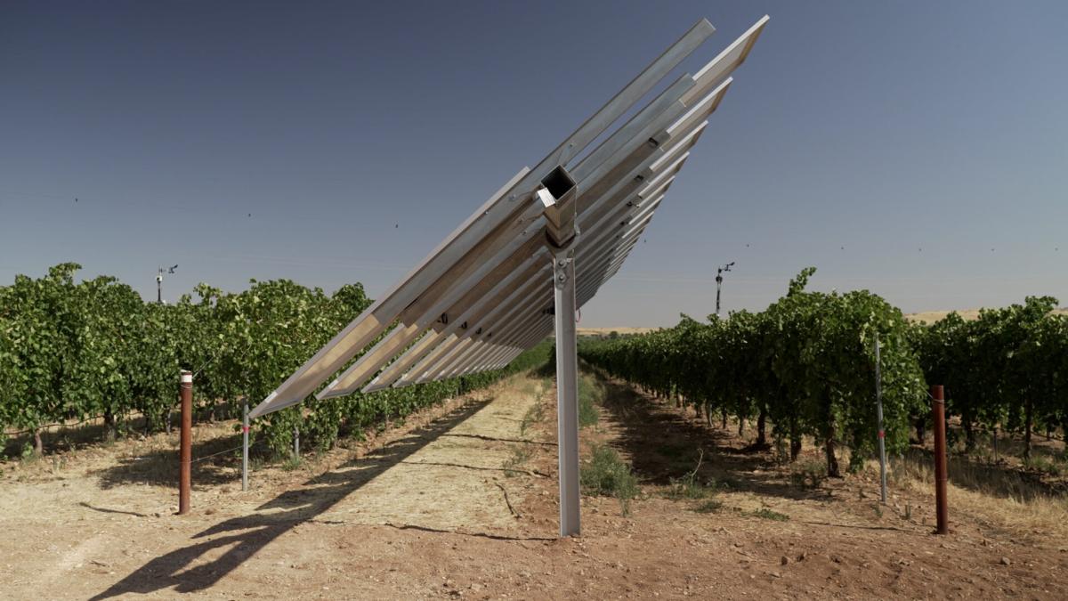 WineSolar o cómo unos paneles solares inteligentes consiguen hacer un mejor vino en Toledo