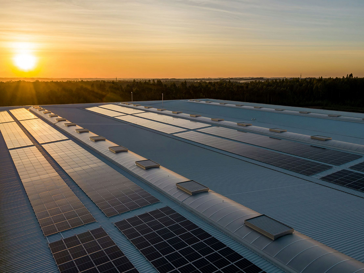 La infraestructura fotovoltaica que instalará Eranovum en Frutas Castilla.