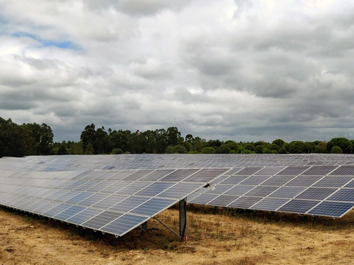 BNZ desarrollará cuatro proyectos fotovoltaicos de 182 MW en Almería