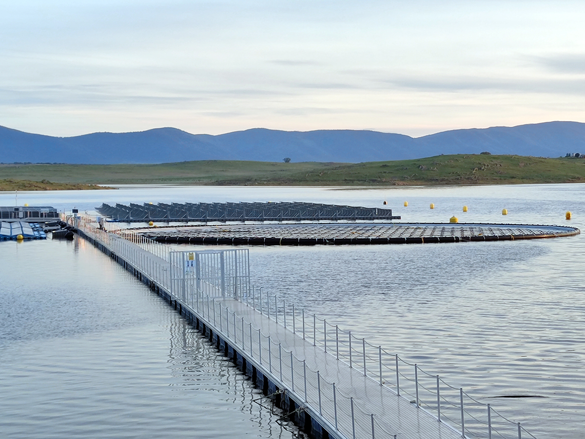 Acciona Energía amplía la planta solar flotante de Sierra Brava