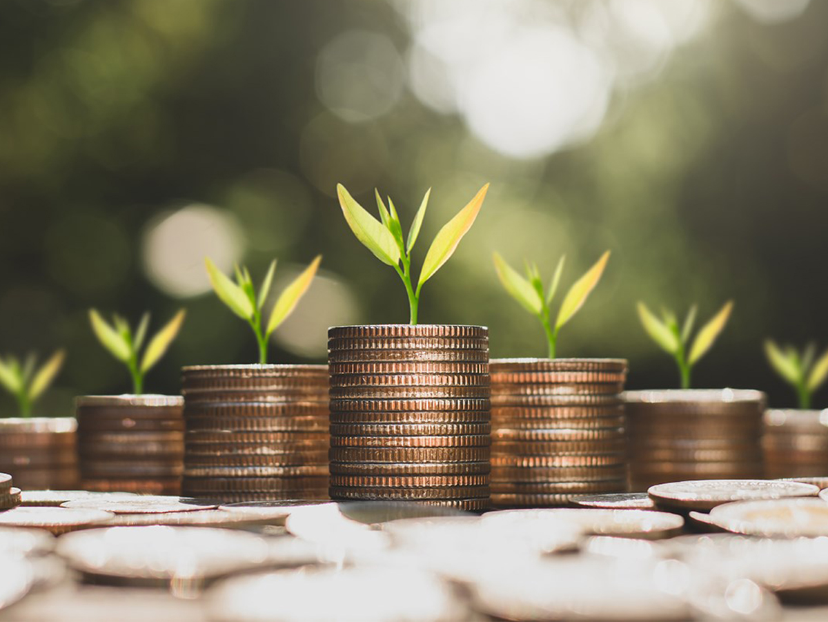 Los inversores en renovables redirigen el capital hacia donde los proyectos ofrecen mayor rentabilidad