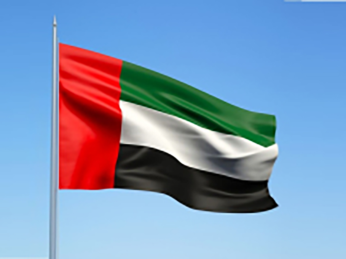 Emiratos Árabes Unidos aboga por una "inversión de capital masiva" en energía para cubrir la infraestructura