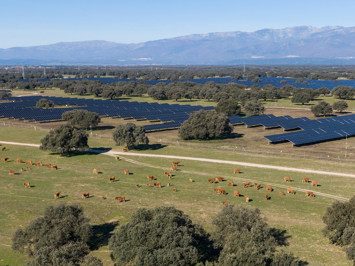 Statkraft avanza en su nuevo proyecto solar de 492 MW y 300 millones en Cáceres