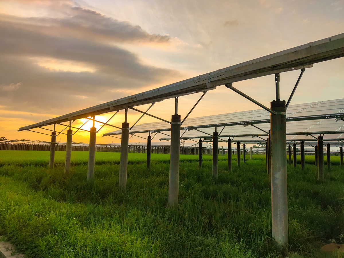 El BEI y BNZ sellan un préstamo de 166 millones para 17 plantas fotovoltaicas en Europa