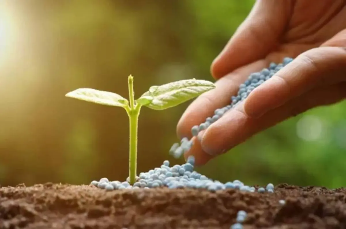 Fertilizantes sostenibles gracias al hidrógeno verde