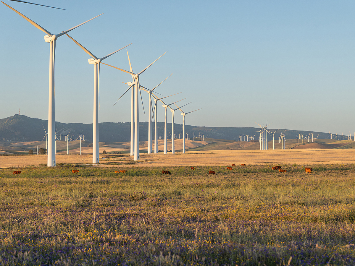 Acciona Energía repotencia un nuevo parque eólico en Tarifa: pasa de 98 a tan sólo 13 aerogeneradores