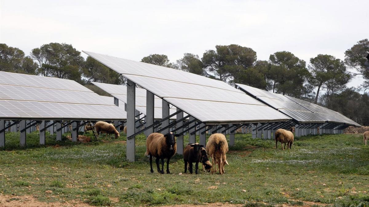 El Gobierno lanza a consulta las bases reguladoras de ayudas a proyectos innovadores de energías renovables