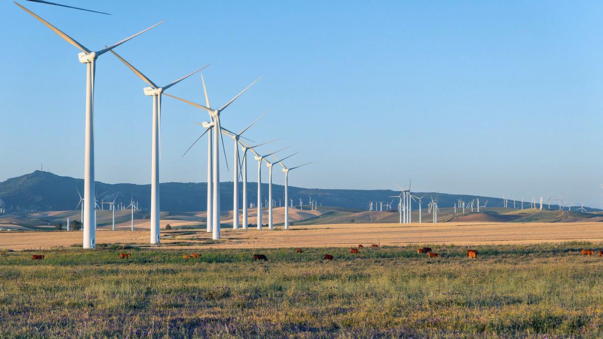 Parque eólico Tahivilla en Tarifa. FOTO: Acciona Energía