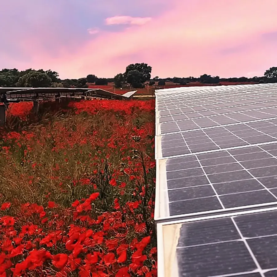 La fotovoltaica, un pilar que lidera el impulso de las energías renovables