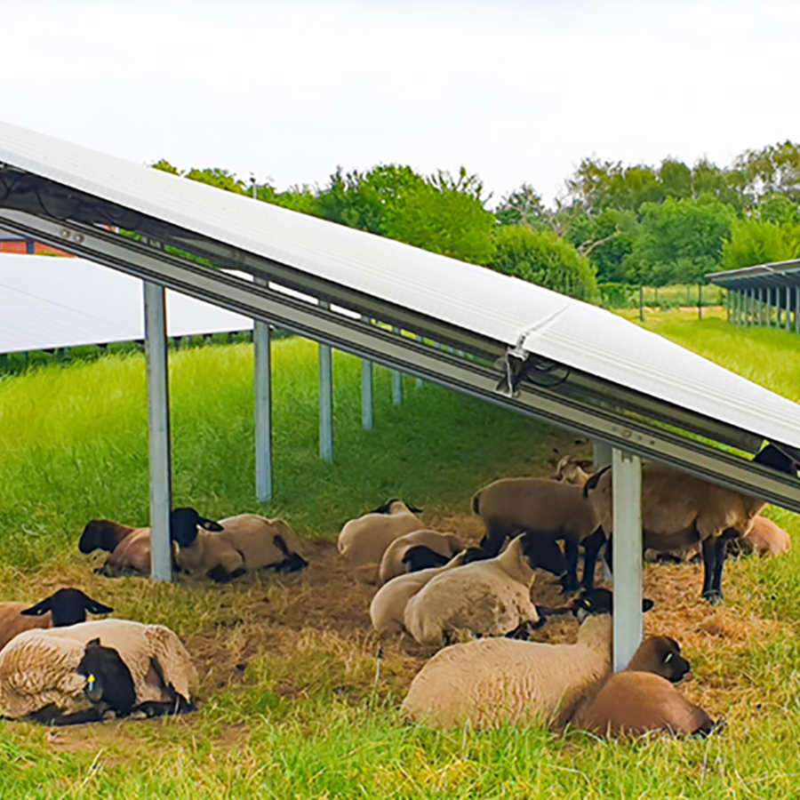 La energía solar representa una oportunidad histórica para combatir el cambio climático