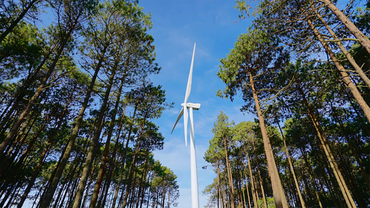 Iberdrola suma más de 4.000 acciones en biodiversidad en el último lustro