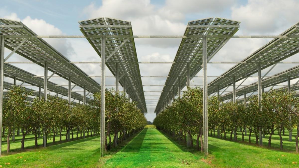 La energía solar y la agricultura son compatibles.