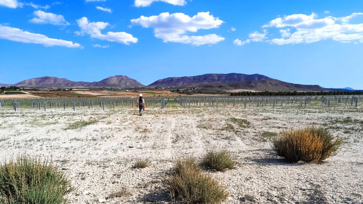 Eiffage Energía Sistemas construye dos plantas fotovoltaicas para X-ELIO en las provincias de Murcia y Granada