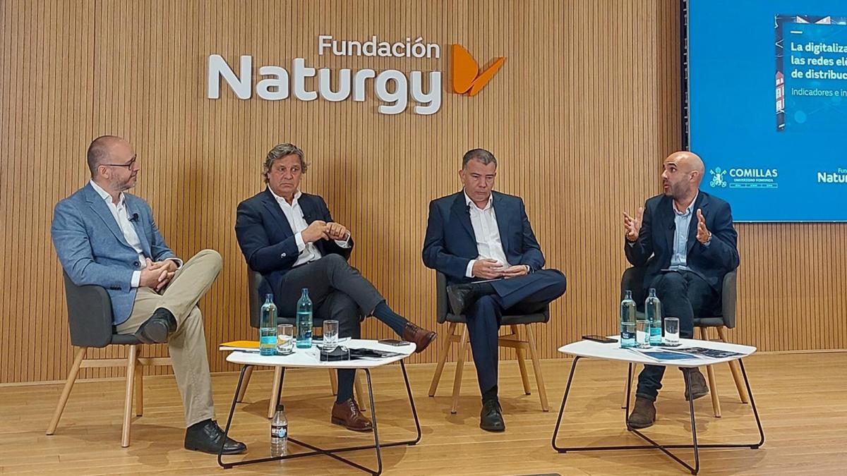 Una adecuada retribución a las redes eléctricas es fundamental para lograr la tan ansiada digitalización