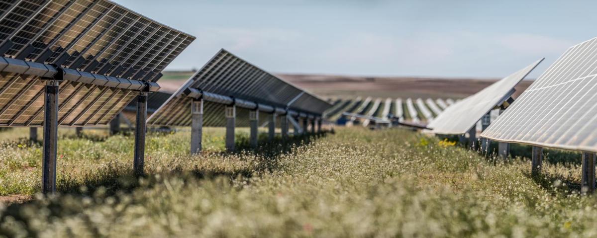 Parque solar de Lightsource BP.