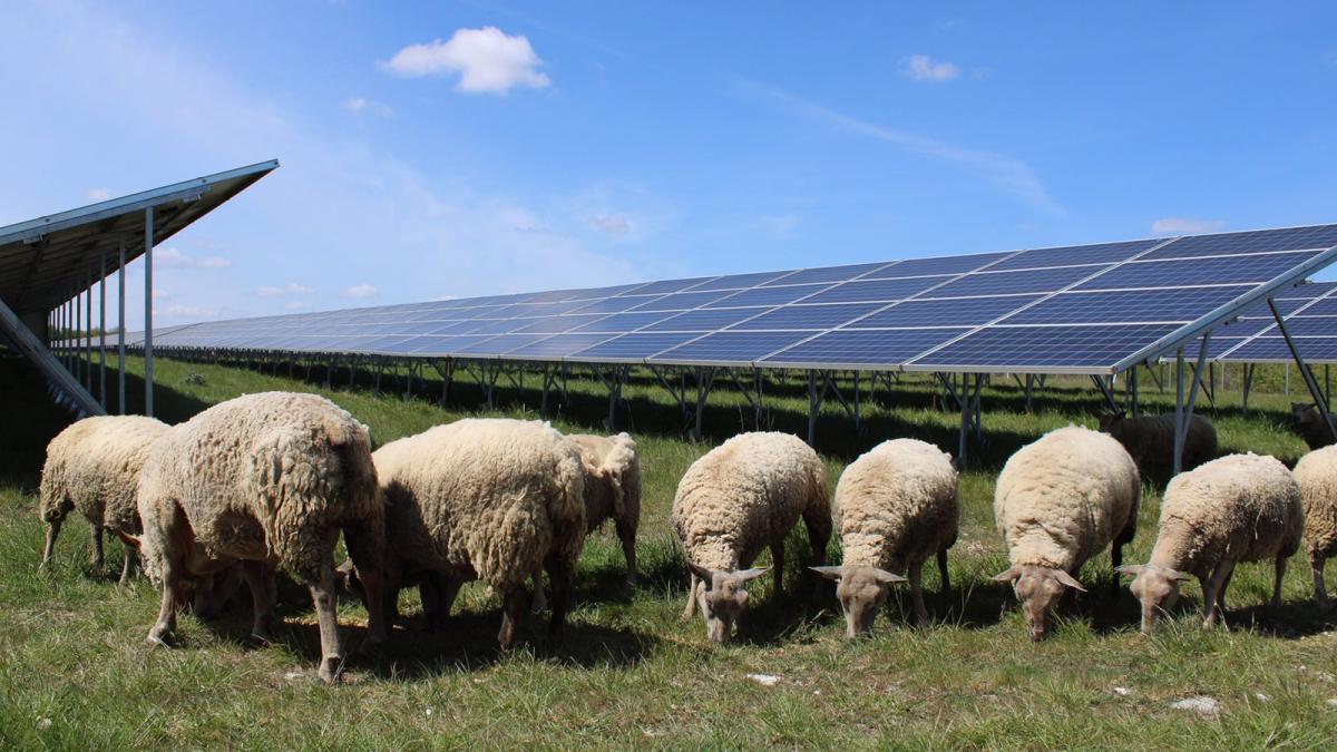 BayWa convierte antiguos terrenos militares en Francia en un 'hub' de energía solar de 136 MW-