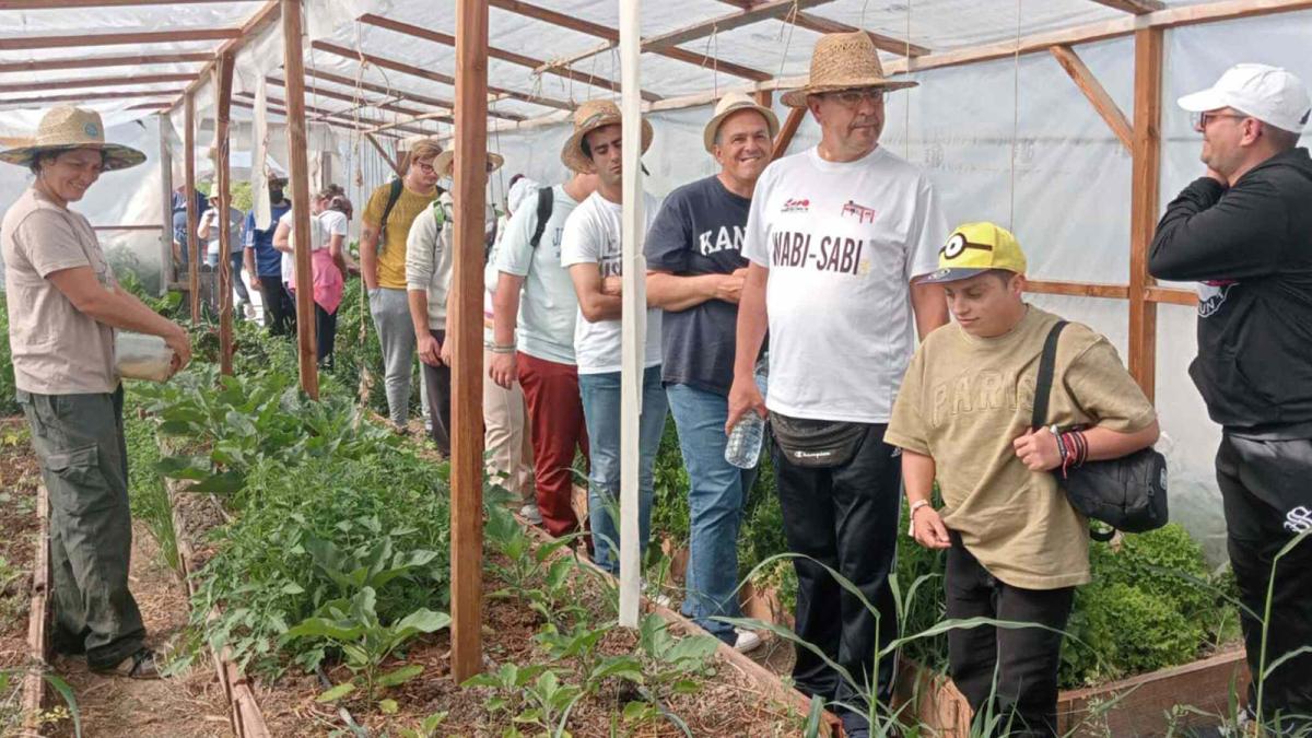 Los cursos COMPOST-IN de Endesa.