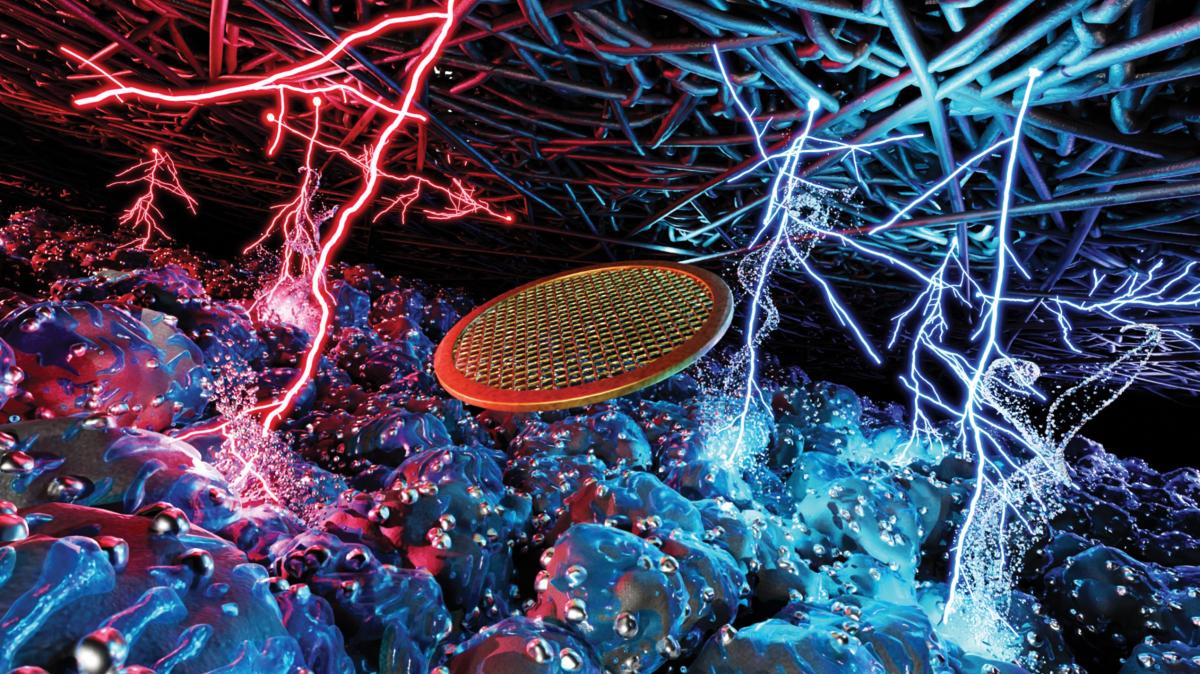 Recreación de lo que se ve a través de los microscopios eléctrónicos.