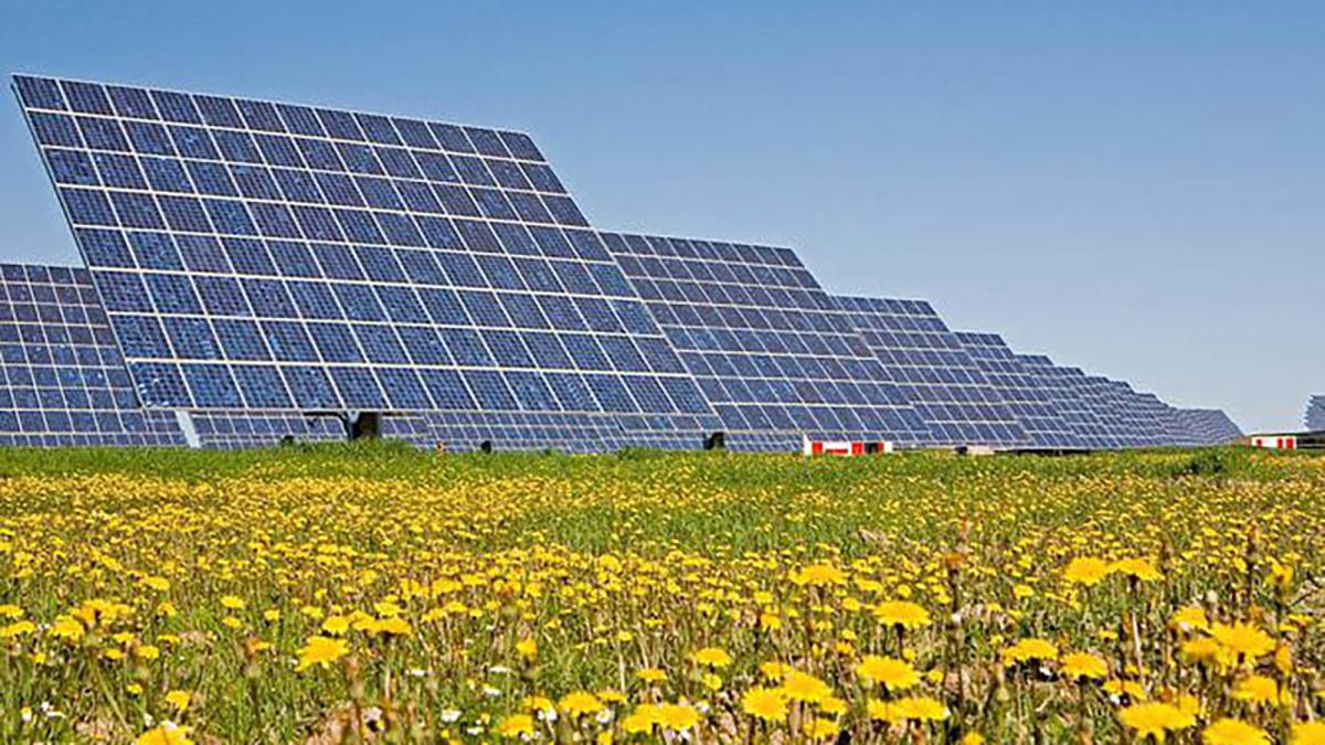 Placas fotovoltaicas en el campo.