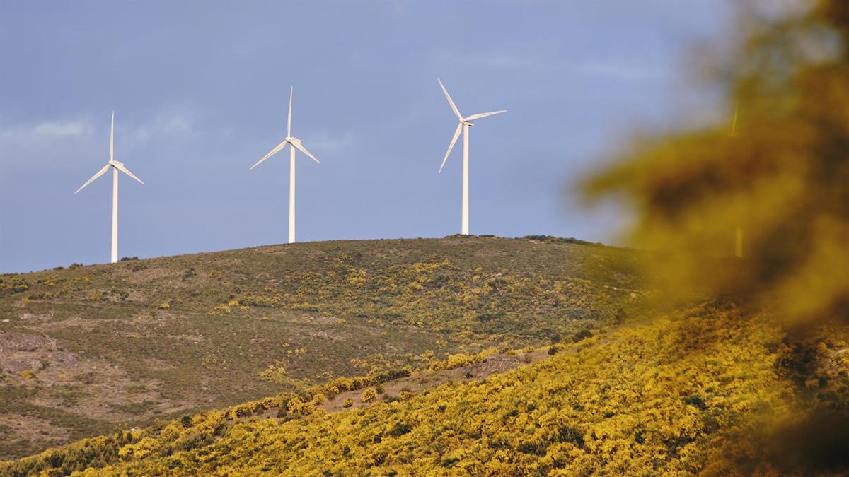 Aerogeneradores en el parque eólico de Serra do Larouco, a 31 de mayo de 2023, en Esgos, Ourense, Galicia (España). 