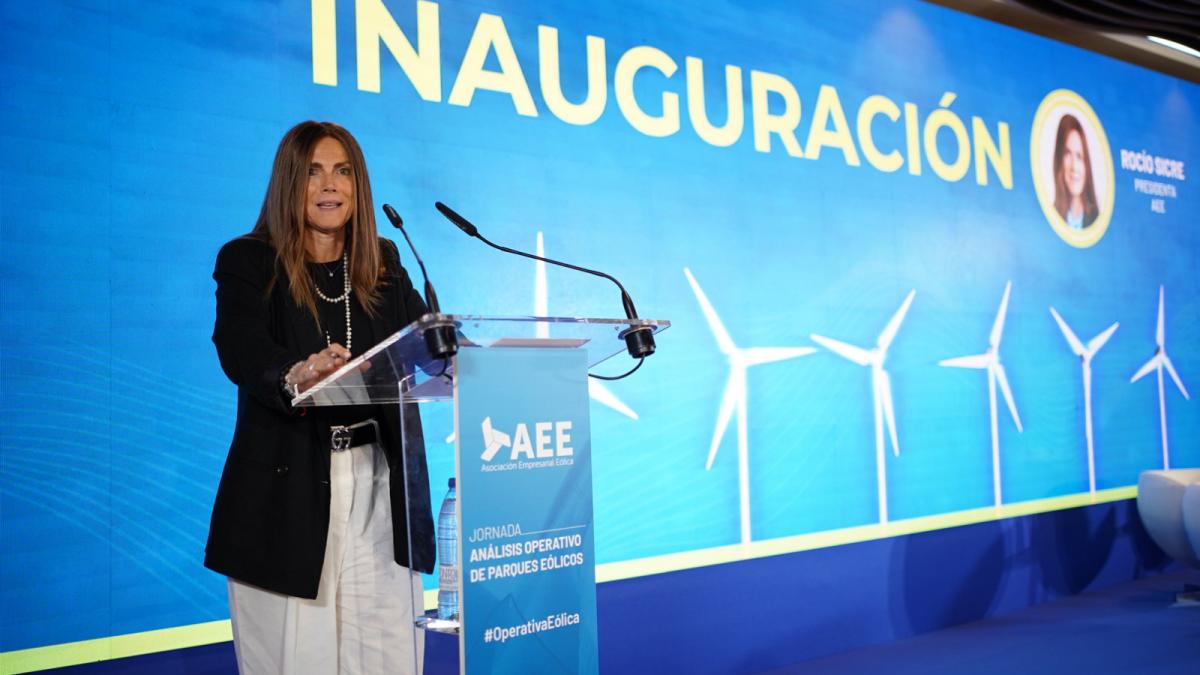 Rocío Sicre, presidenta de AEE.