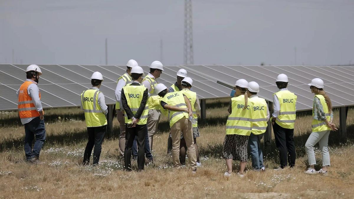 Bruc organiza una visita con sus principales bancos y asesores financieros a su complejo solar Cartago A2.