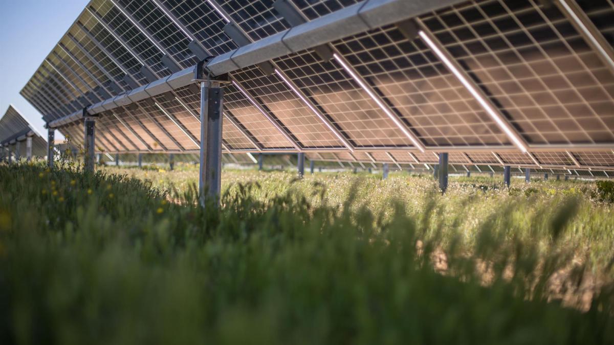 Instalaciones fotovoltaicas de Lightsource bp.