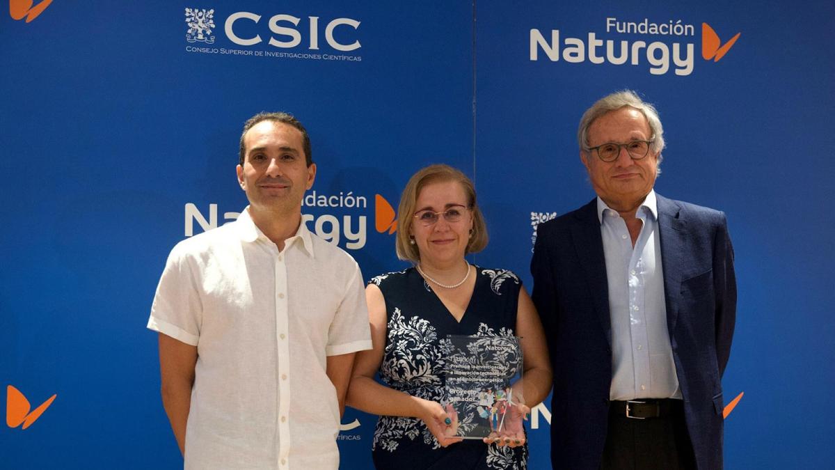 Premio Fundación Naturgy y CSIC al mejor proyecto de innovación en el ámbito energético.