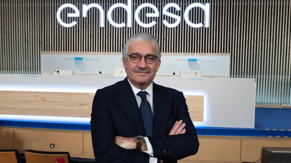 Bogas vincula cualquier operación de adquisición por Endesa a que "cree valor" para sus accionistas