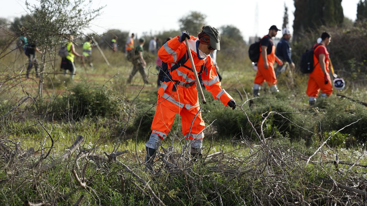 Un grupo de voluntarios rastrean los alrededores de la localidad de Torrent en busca de cuerpos arrastrados por las riadas, este viernes.