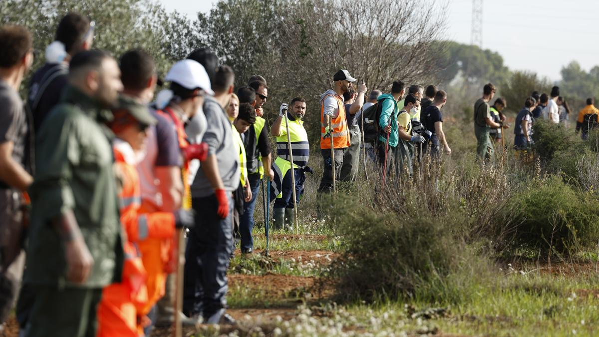 Un grupo de voluntarios rastrean los alrededores de la localidad de Torrent en busca de cuerpos arrastrados por las riadas, este viernes.