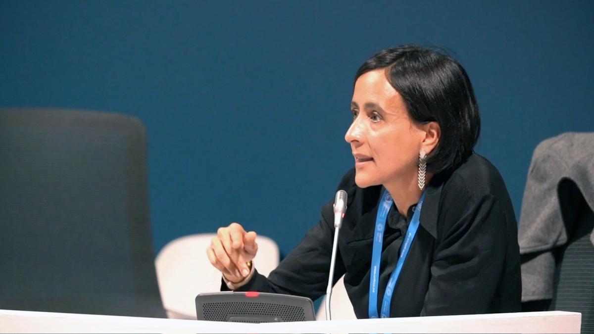 La ministra de Ambiente y Desarrollo Sostenible de Colombia, Susana Muhamad, habla en la COP29.