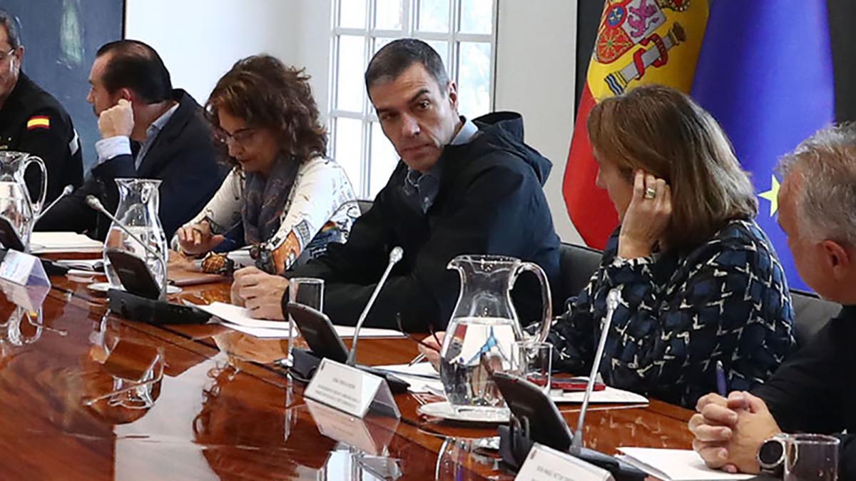 Los miembros del comité de crisis en la reunión presidida por Pedro Sánchez. 