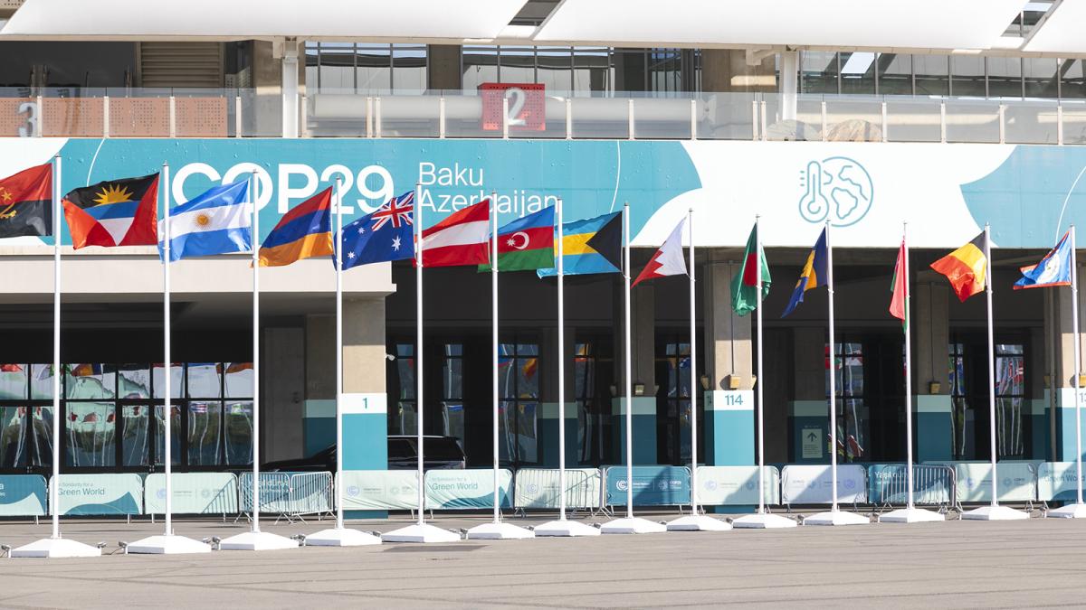 Banderas de los países participantes en la COP29.