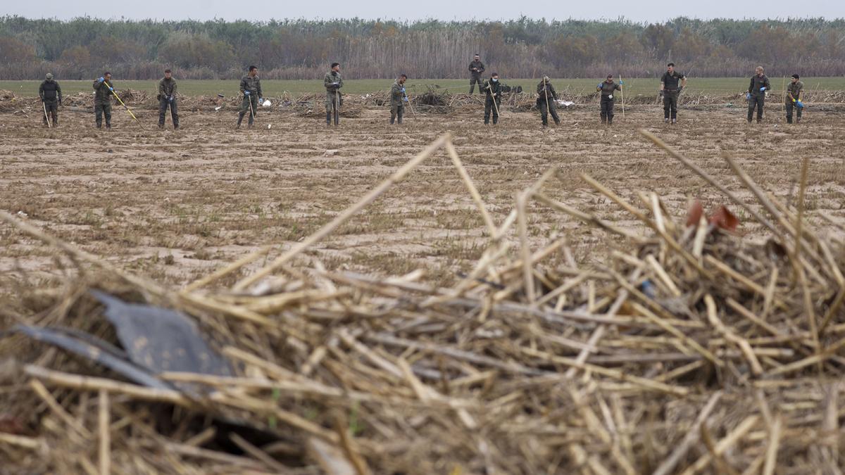 Efectivos de la Brigada 12 del ejército de Tierra en Madrid durante las labores de búsqueda de los desaparecidos por la DANA del pasado 29 de octubre, en los arrozales de Catarroja, este lunes. 