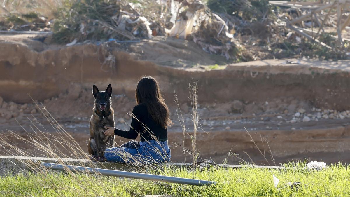 Una mujer pasea a un perro este miércoles junto al barranco del Poyo cerca de Paiporta, Massanassa y Alfafar, afectado por la DANA y las inundaciones posteriores que asolaron la provincia de Valencia el pasado 29 de octubre. 