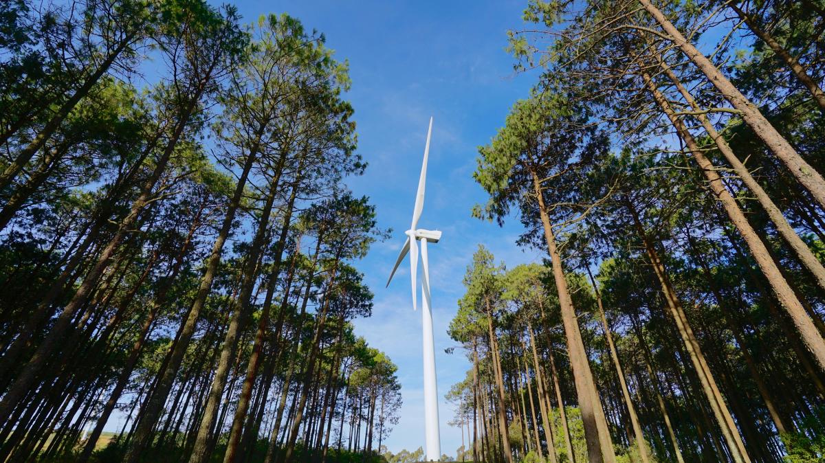 Iberdrola construirá el mayor parque eólico de Portugal y lo hibridará con su gigabatería hidroeléctrica del Támega