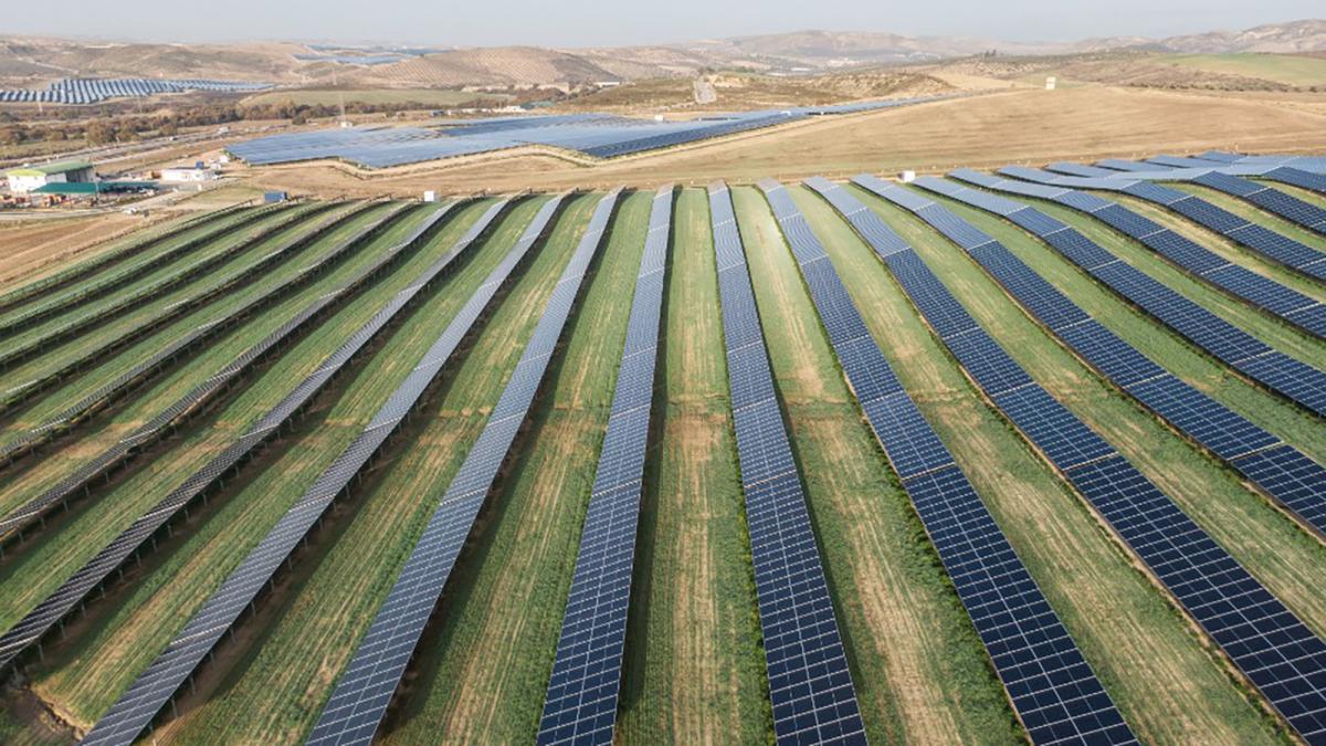 BayWa r.e. ha iniciado la actividad agrícola en el pionero parque solar de Alhendín.