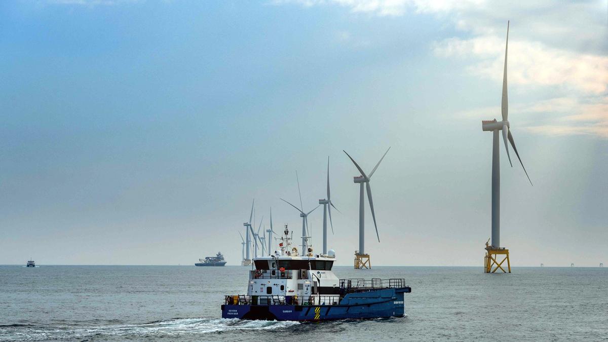 Parque eólico marino de Iberdrola.