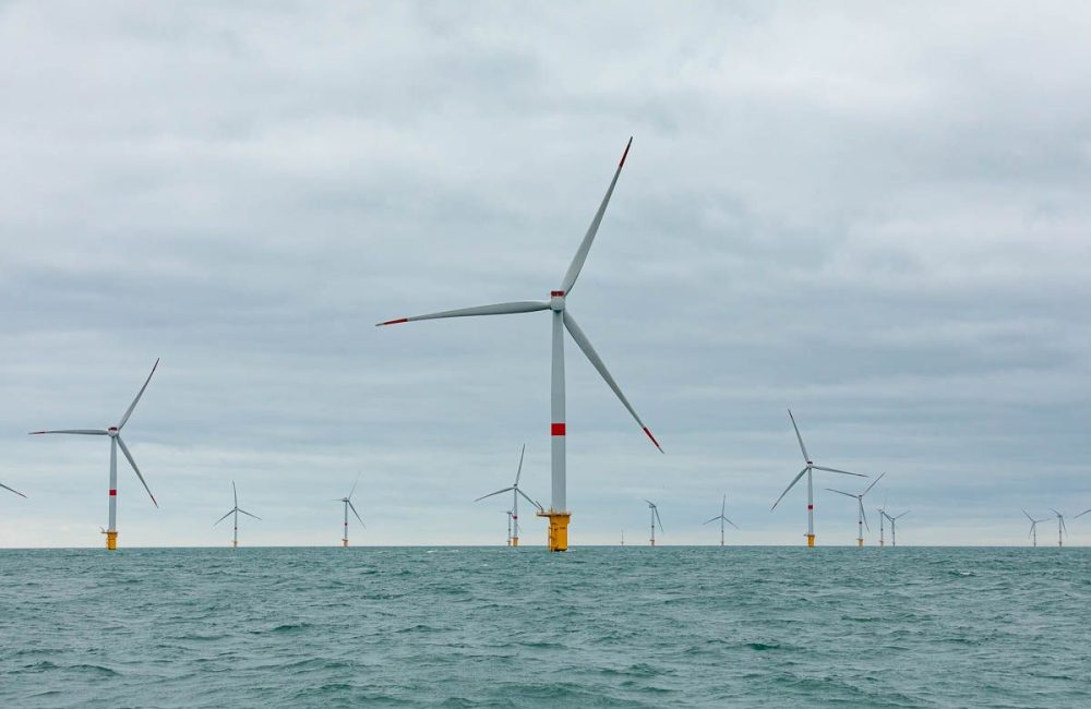 El proyecto eólico marino Fécamp, el mayor de Francia, dearrollado por EDF y Maple Power. 