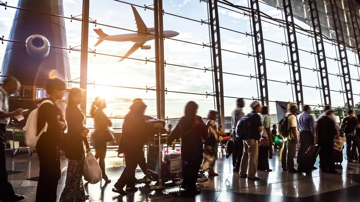 Pasaros en un aeropuerto con un avion sobrevolando de fondo.