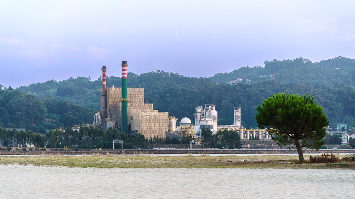 Biofábrica de Ence en Pontevedra.